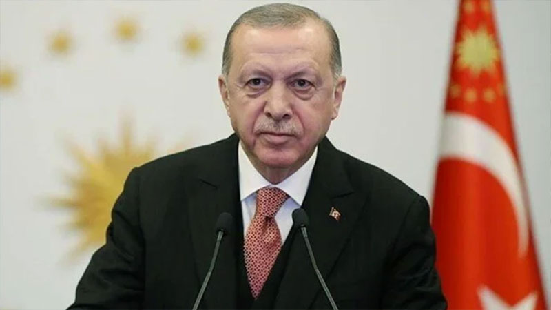 Cumhurbaşkanı Erdoğan’dan orman yangınlarına ilişkin açıklama Cumhurbaşkanı Erdoğan’dan orman yangınlarına ilişkin açıklama