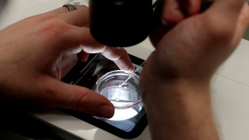 Yapay zeka sayesinde hamile kaldı Bebek sahibi olmak için 18 senedir uğraşsa da başarılı olamayan