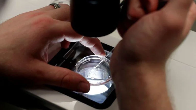 Yapay zeka sayesinde hamile kaldı Yapay zeka sayesinde hamile kaldı