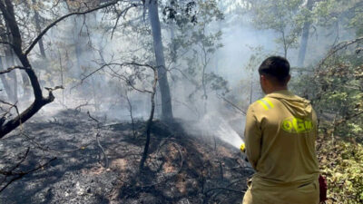 Eskişehir’de 10 yangın şehidi! Geriye sadece fotoğraflar kaldı