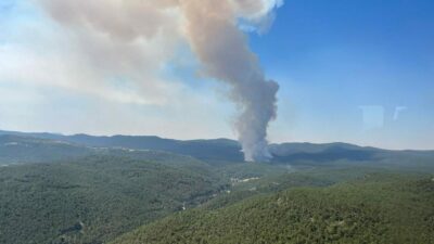 Eskişehir’de orman yangını