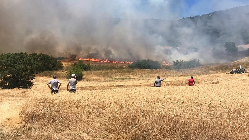 Bursa'nın Yenişehir ilçesinde anızda başlayıp ormana sıçrayan yangına havadan ve