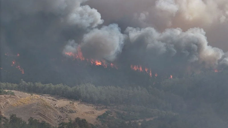 İşte Bursa’daki yangının hasar tespit raporundan ilk veriler! İşte Bursa’daki yangının hasar tespit raporundan ilk veriler!