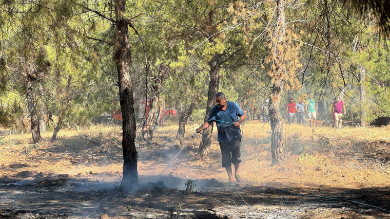 Muğla Fethiye’de orman yangını
