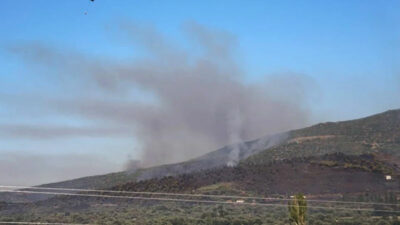 İzmir’de dağlar siyaha büründü