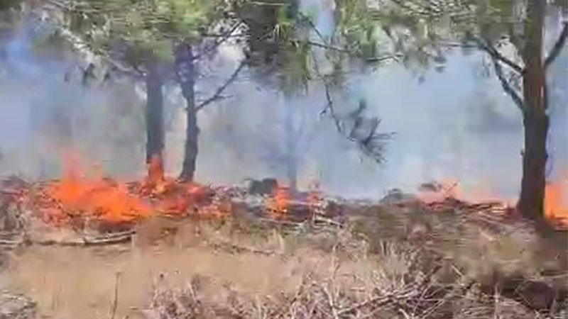 Bursa’daki orman yangınıyla ilgili yeni gelişme! Bursa’daki orman yangınıyla ilgili yeni gelişme!