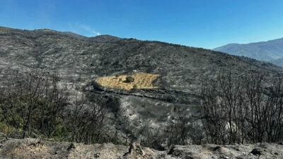 Ödemiş’te şaşırtan görüntü: Sadece o bölge yanmadı!
