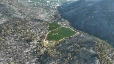 Görüntü Bursa’dan… Sadece orası yeşil kaldı