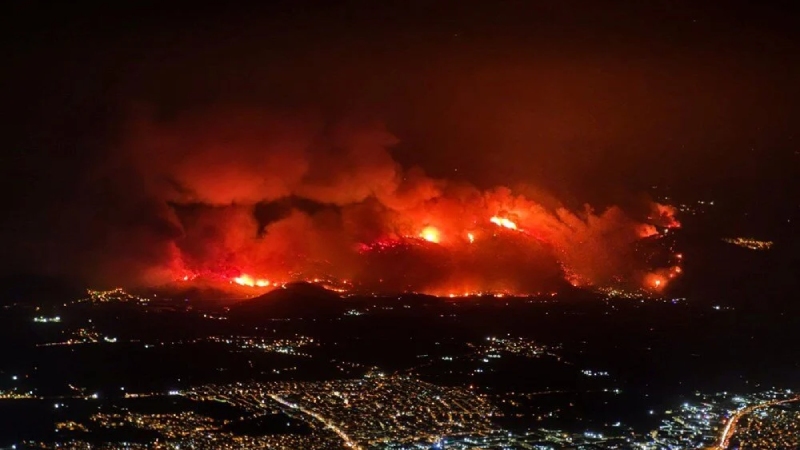 Orman yangınlarıyla ilgili ‘iddialar ve gerçekler’ Orman yangınlarıyla ilgili ‘iddialar ve gerçekler’