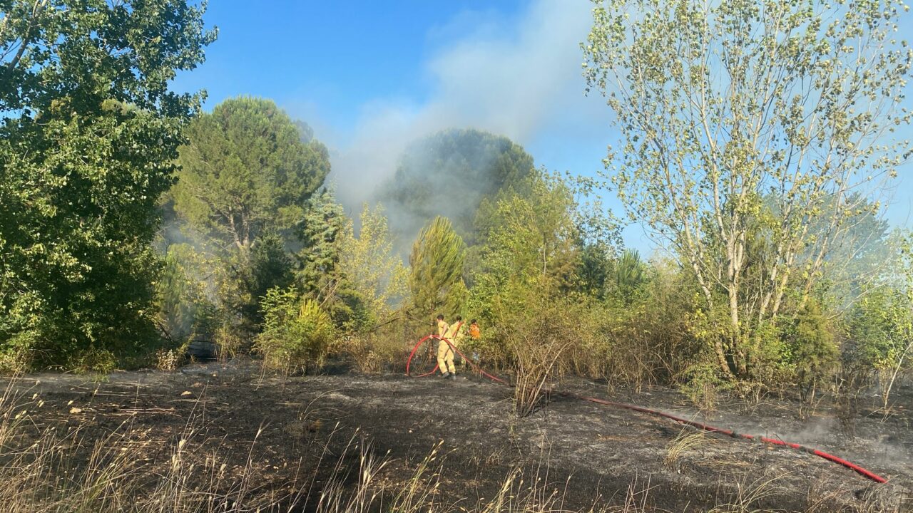 Bursa Orman Bölge Müdürlüğü’nden kritik uyarı