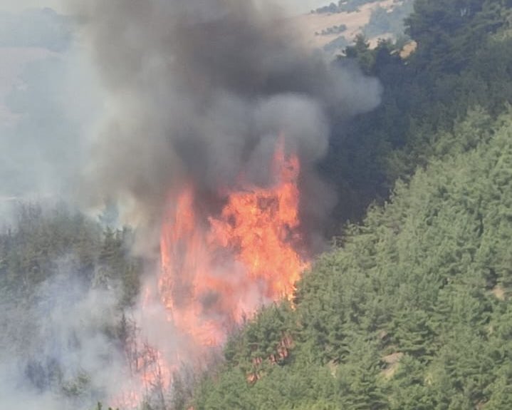 Bursa Büyükşehir’den yangınla ilgili önemli duyuru Bursa Büyükşehir’den yangınla ilgili önemli duyuru