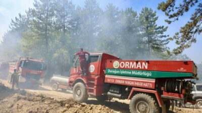 Bursa Harmancık’taki orman yangınıyla ilgili açıklama!