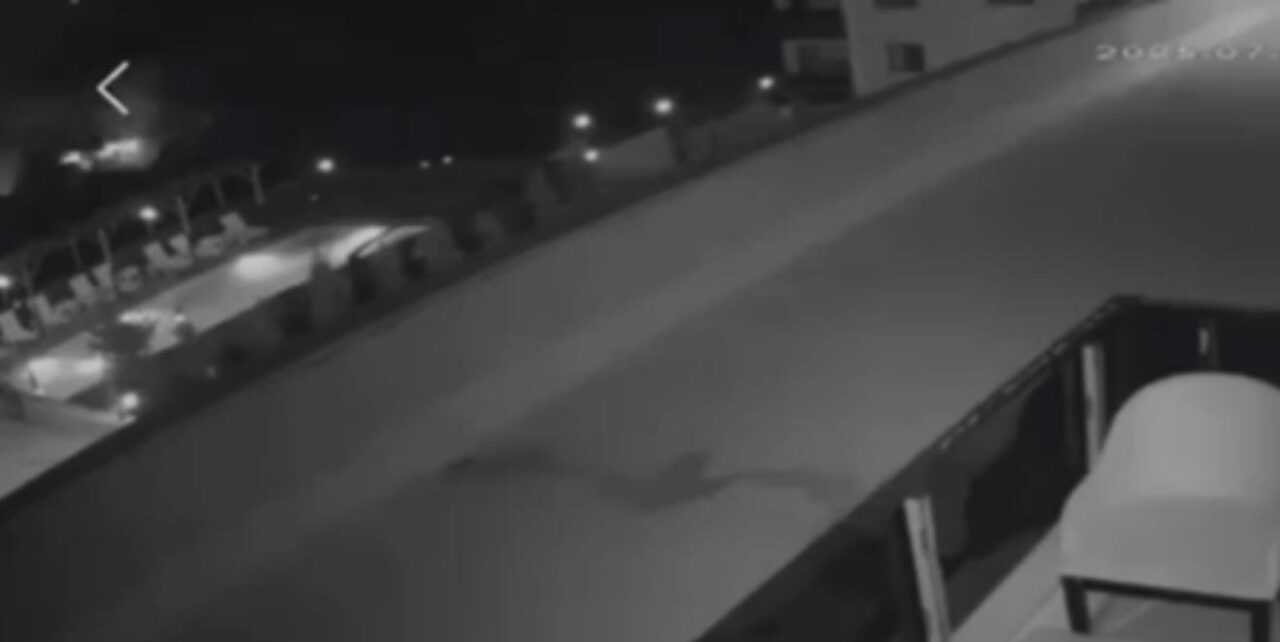 Bursa’da havai fişekle yangına sebep olmuşlardı! Ağaç dikme cezası aldılar