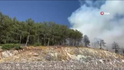 Bursa’da orman yangını