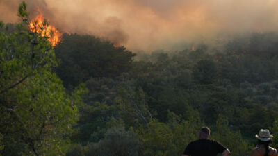 İzmir’de orman yangını