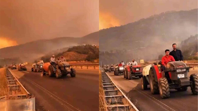 Bilecik’in Osmaneli ilçesinde çıkan orman yangını, şiddetli rüzgarın etkisiyle hızla