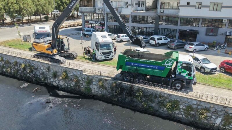 Bursa'nın Gemlik ilçesindeki Karsak Deresi'nde temizlik çalışmaları sürüyor.