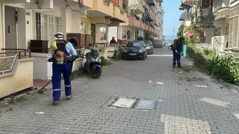 Bursa'nın Gemlik ilçesindeki tatil bölgelerinden Kumla'da temizlik çalışmaları hız kazandı.