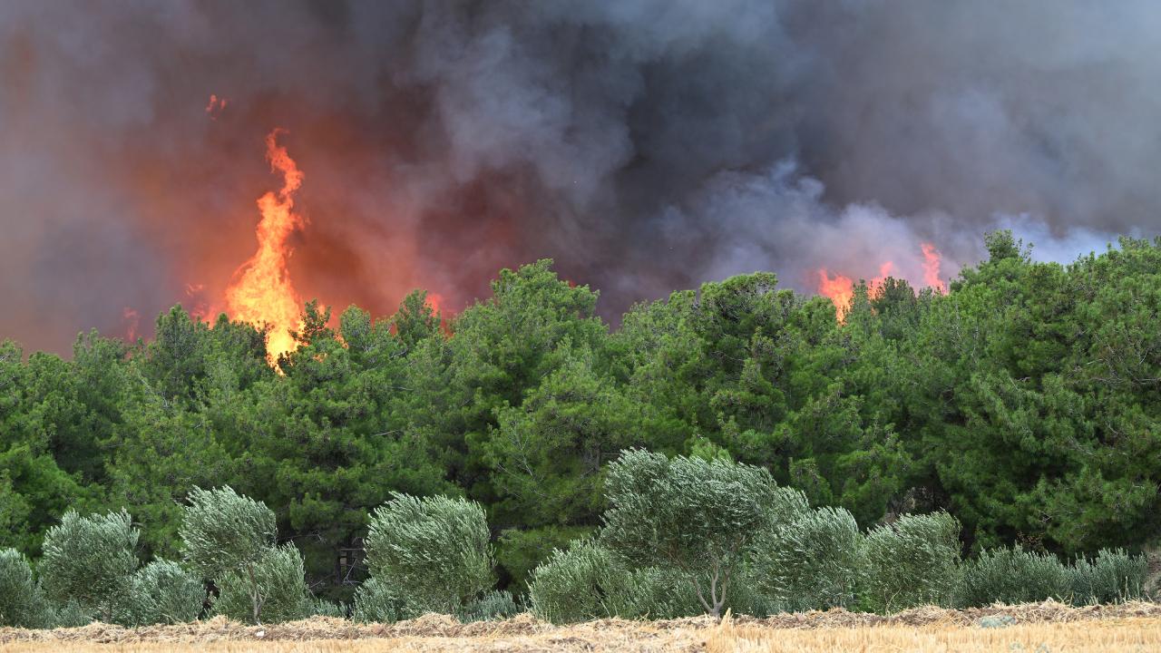 Orman yangınlarıyla ilgili 39 şüpheli tutuklandı