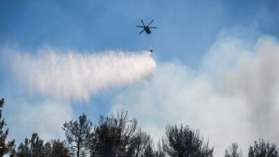 Orman yangınlarıyla ilgili 13 kişi tutuklandı