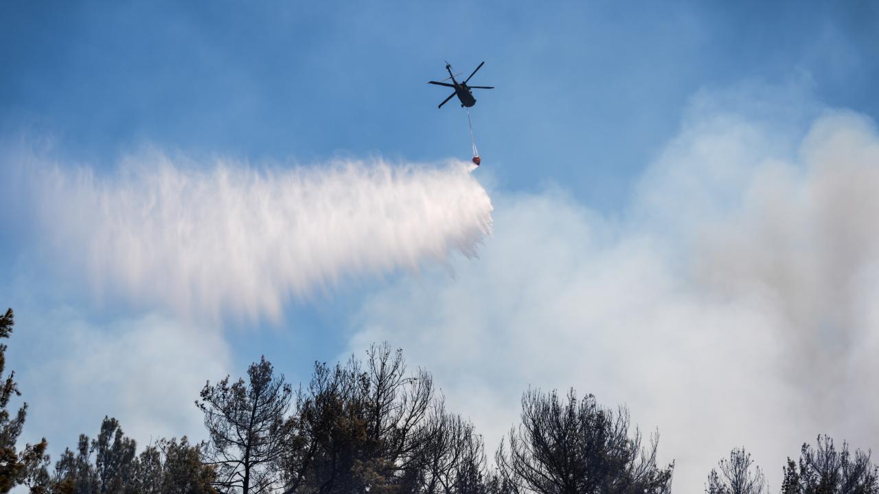 Orman yangınlarıyla ilgili 13 kişi tutuklandı