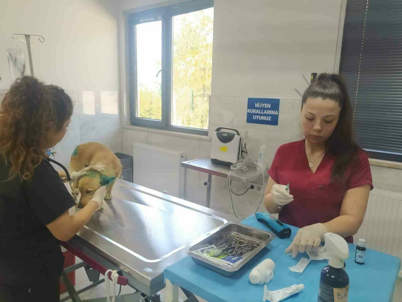 Bursa’da orman yangınlarından etkilenen hayvanlara belediye şefkati