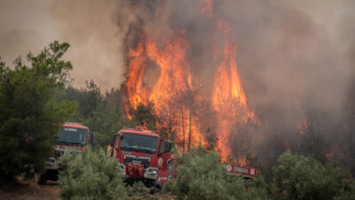 Orman yangınları neden can alıyor?