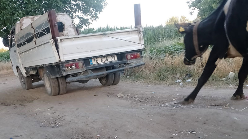 Bursa’da böyle vicdansızlık görülmedi Bursa’da böyle vicdansızlık görülmedi