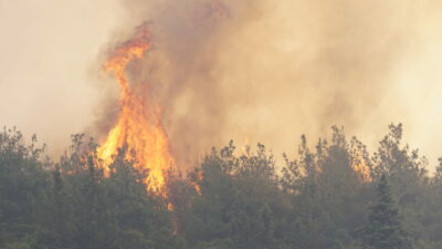 Tekirdağ’daki orman yangını Çanakkale’ye sıçradı! Otoyol ulaşıma kapatıldı