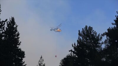 İki ilçedeki orman yangınları kontrol altında