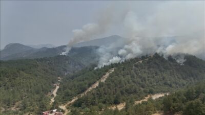 3 ilde orman yangını