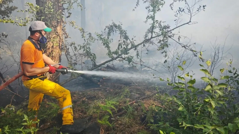 Bursa Uludağ’da orman yangını! Kontrol altına alındı