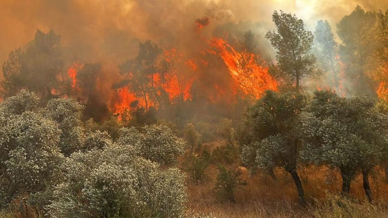 Bursalılara Başkan Bozbey’den önemli çağrı! Bursalılara Başkan Bozbey’den önemli çağrı!