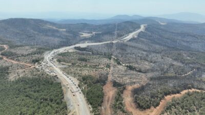 Bursa’nın yanan ormanları yeniden yeşeriyor
