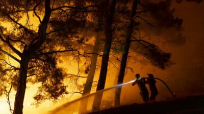 15 bin dönüm orman küle dönmüştü! Yangının sebebi belli oldu