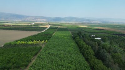Türkiye’deki ihtiyacın yüzde 60’ı Bursa’dan karşılanıyor!