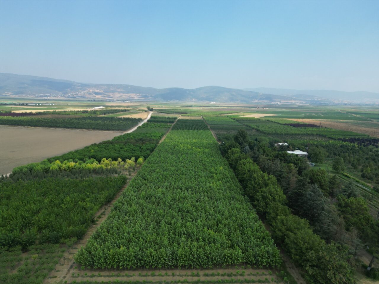 Türkiye’deki ihtiyacın yüzde 60’ı Bursa’dan karşılanıyor! Türkiye’deki ihtiyacın yüzde 60’ı Bursa’dan karşılanıyor!