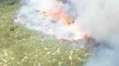 Bursa’daki orman yangınıyla ilgili yeni gelişme!