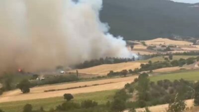 Bursa Yenişehir’de orman yangını! Kontrol altına alındı