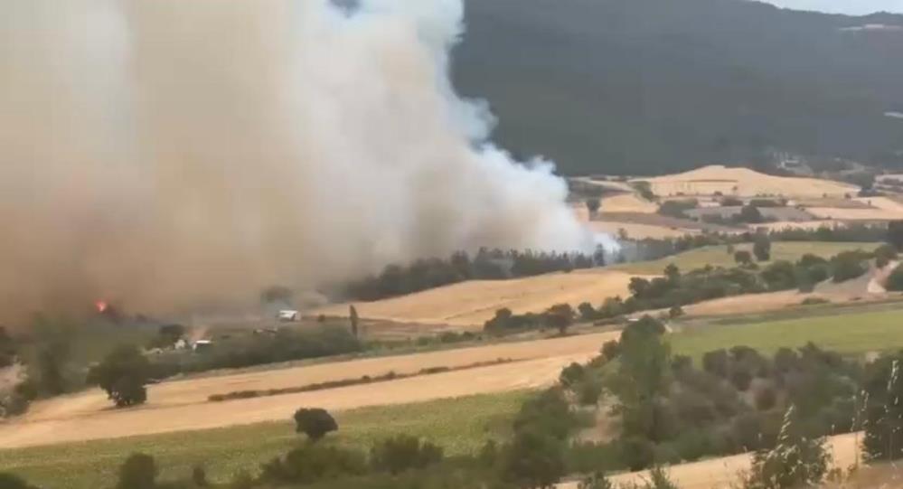 Bursa Yenişehir’de orman yangını! Kontrol altına alındı Bursa Yenişehir’de orman yangını! Kontrol altına alındı