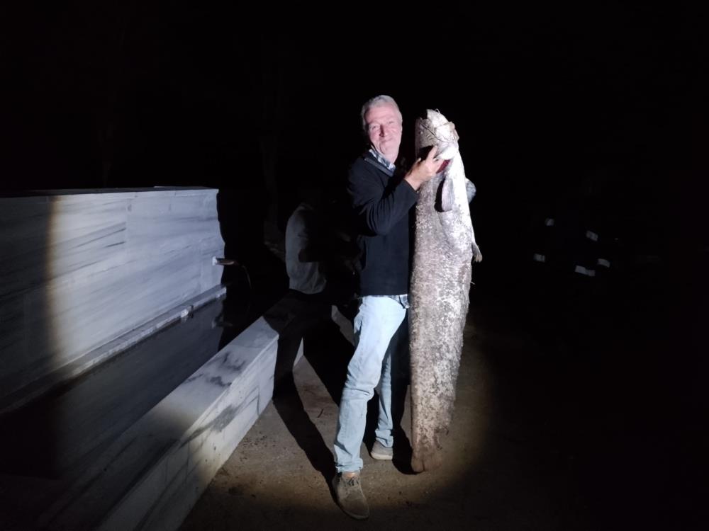 Bu dev balık Bursa’da yakalandı! Bu dev balık Bursa’da yakalandı!