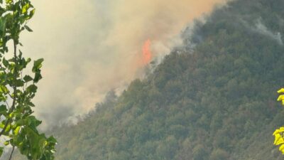 Bartın’da ormanlık alanda yangın
