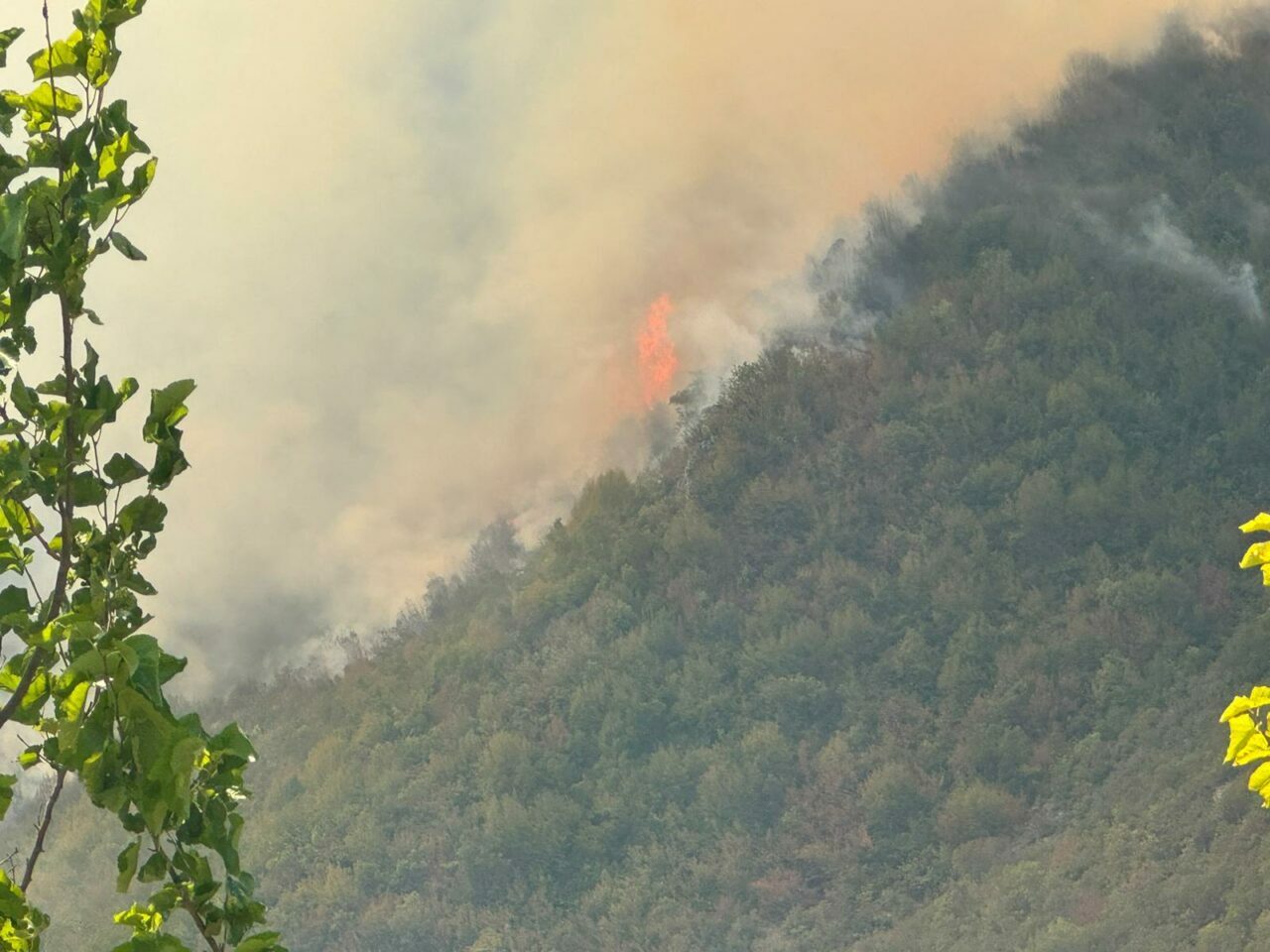 Bartın’da ormanlık alanda yangın Bartın’da ormanlık alanda yangın