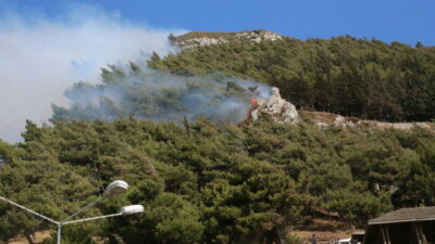 Bir orman yangını da Hatay’da