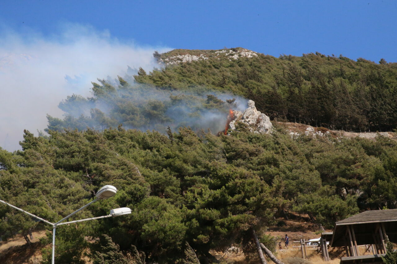 Bir orman yangını da Hatay’da