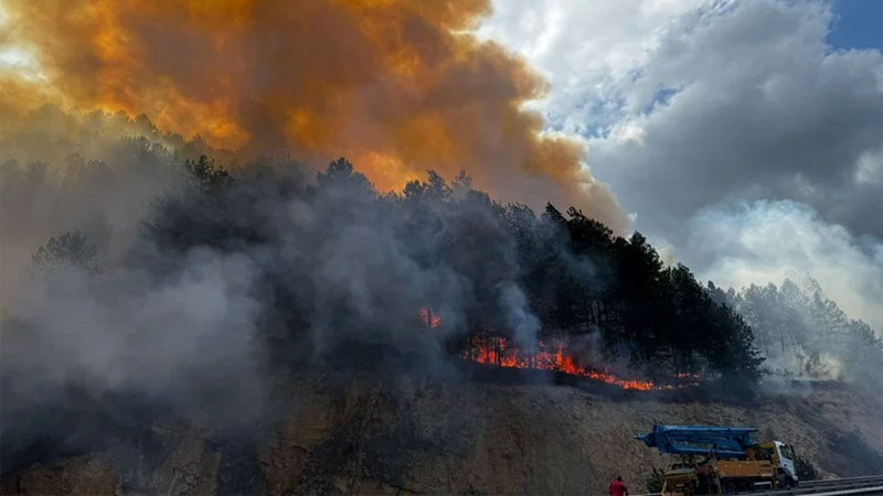 Bolu’da orman yangını: Karayolu ulaşıma kapatıldı Bolu’da orman yangını: Karayolu ulaşıma kapatıldı