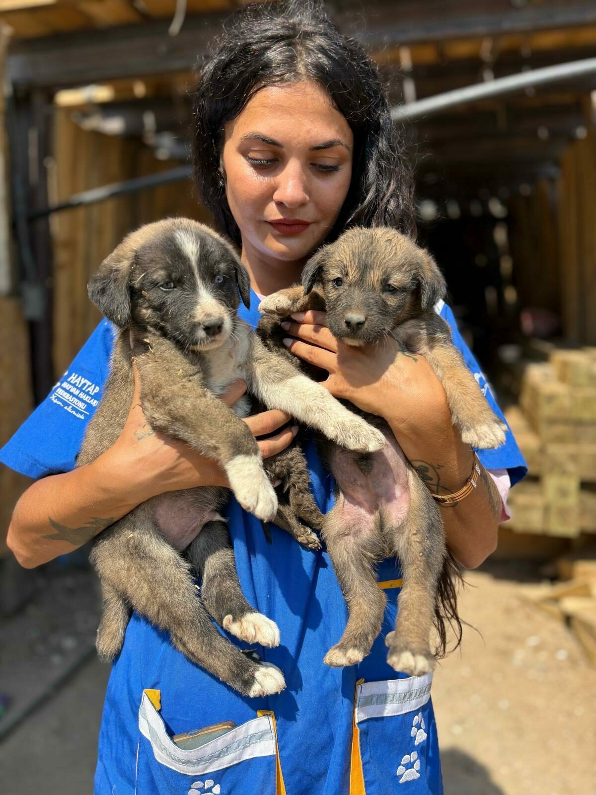 Bursa’da yürekleri sızlatan görüntü: Alevlerden kaçıp yavrularıyla bakın nereye sığınmış Bursa’da yürekleri sızlatan görüntü: Alevlerden kaçıp yavrularıyla bakın nereye sığınmış