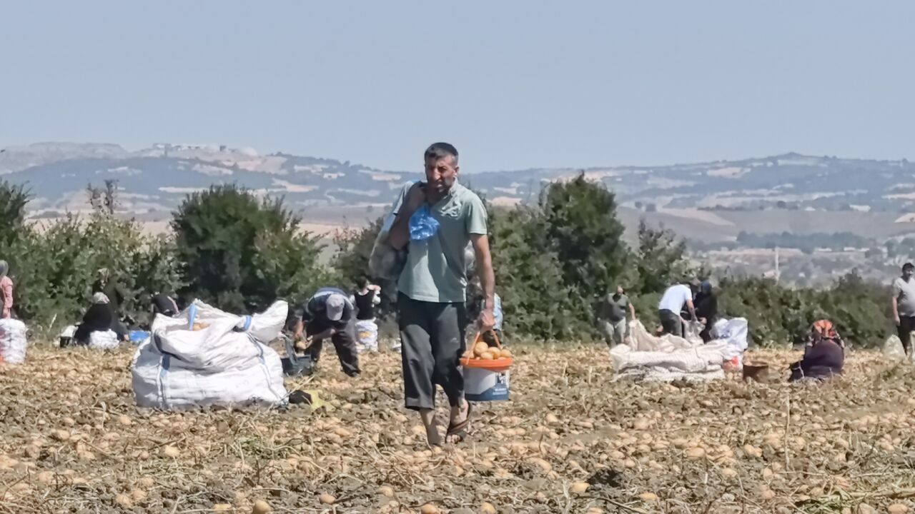 Bursa’da çuval çuval patateslerini ücretsiz dağıttı