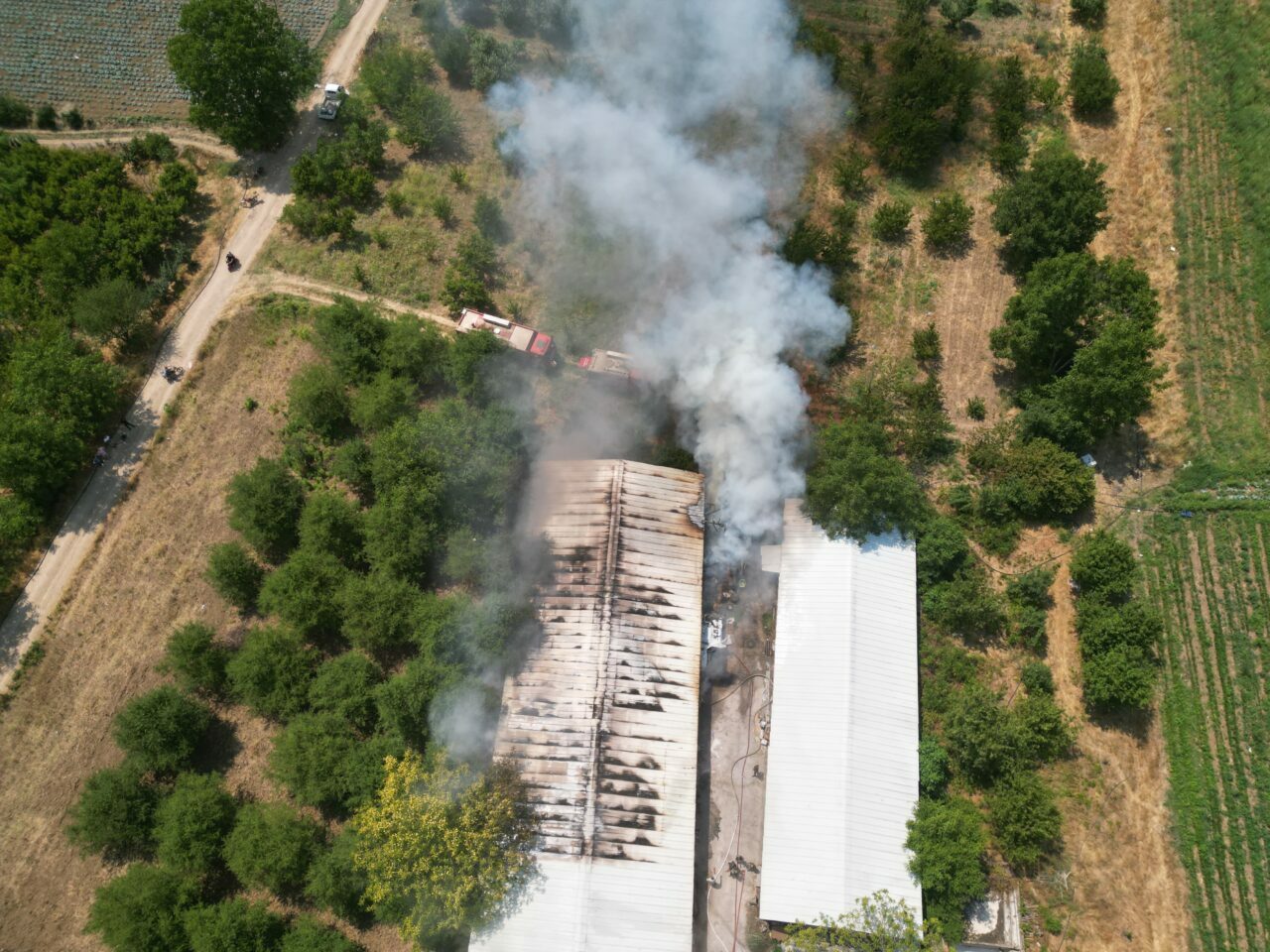 Bursa’da korkutan yangın