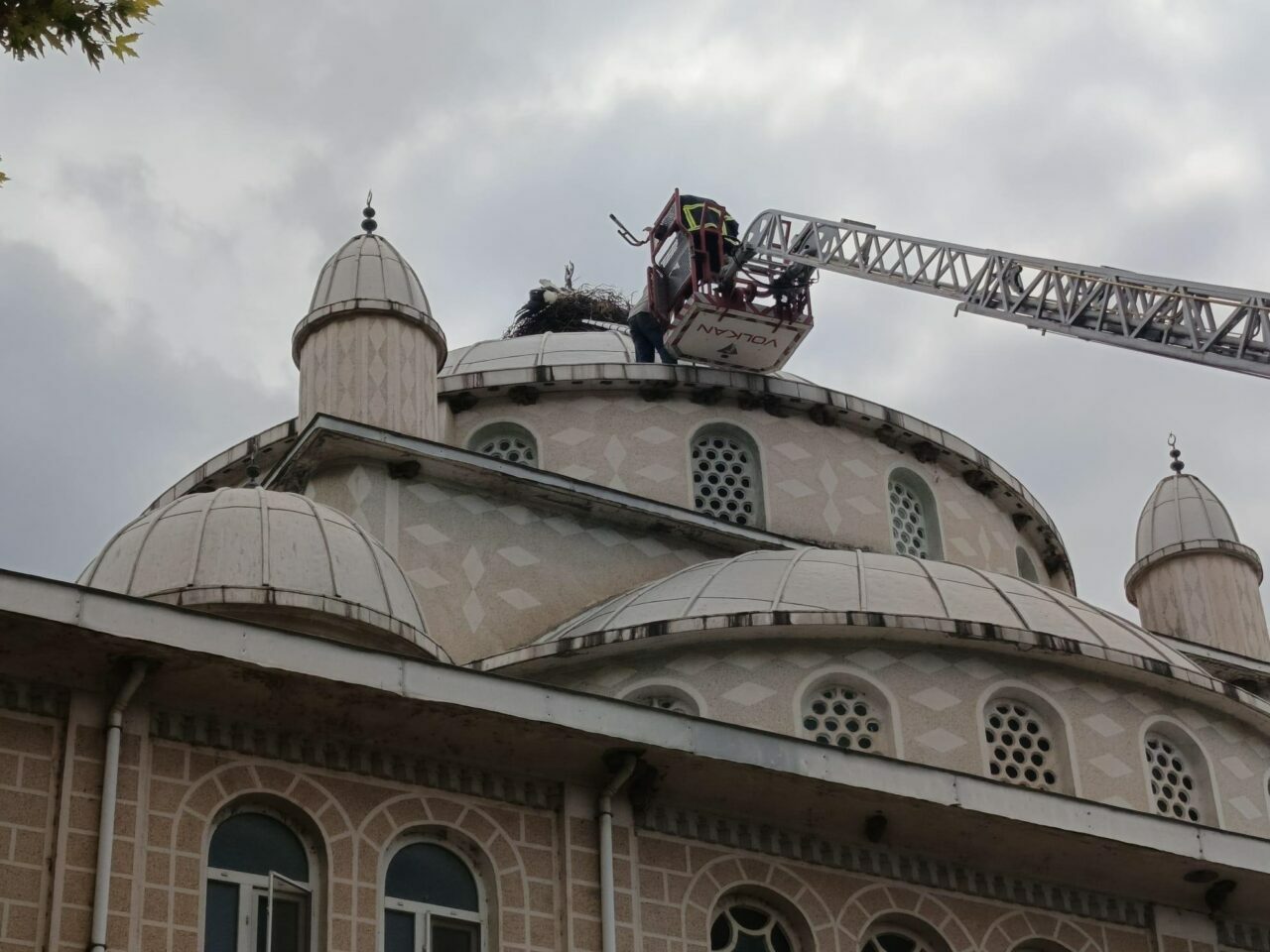 Bursa’da leylek kurtarma operasyonu